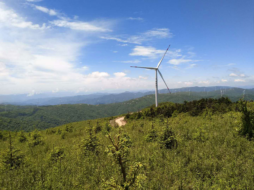 國(guó)電龍?jiān)从^日臺(tái)風(fēng)電場(chǎng)